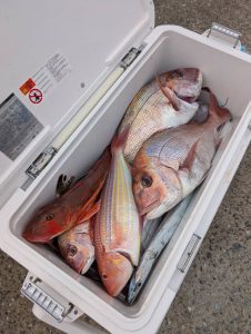 8/9(土)釣果🎣ご紹介②